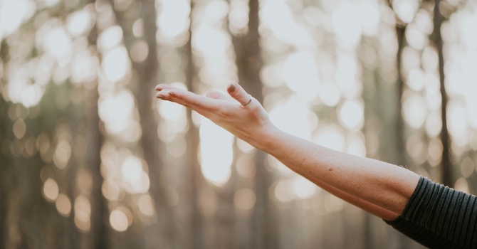 Myofascial Cupping Therapy: Ancient Techniques for Modern Ailments image